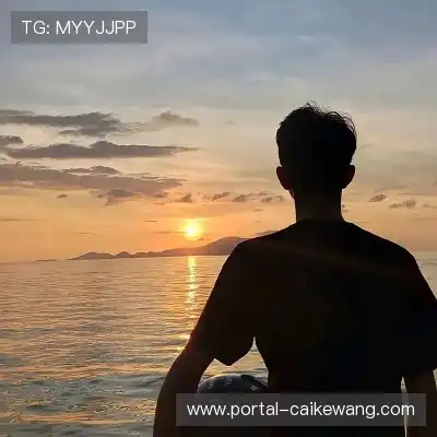 苏哲